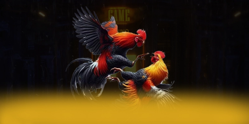 FB88 - Sân chơi sở hữu kho game phong phú tại Việt Nam FB88 - Sân chơi sở hữu kho game phong phú tại Việt Nam