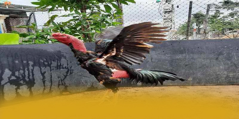 8XBET - Trang game được game thủ yêu thích hiện nay 8XBET - Trang game được game thủ yêu thích hiện nay