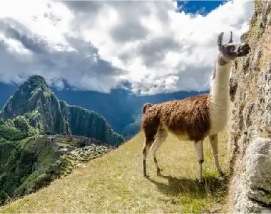 Consejos Útiles Antes de Viajar a Perú