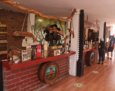 cata de vinos en huacachina