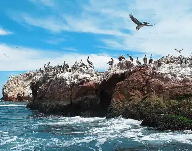 clima de paracas