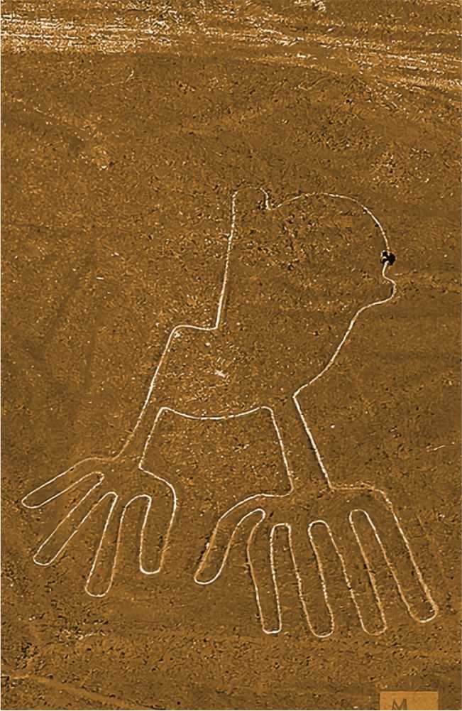 lineas de nazca