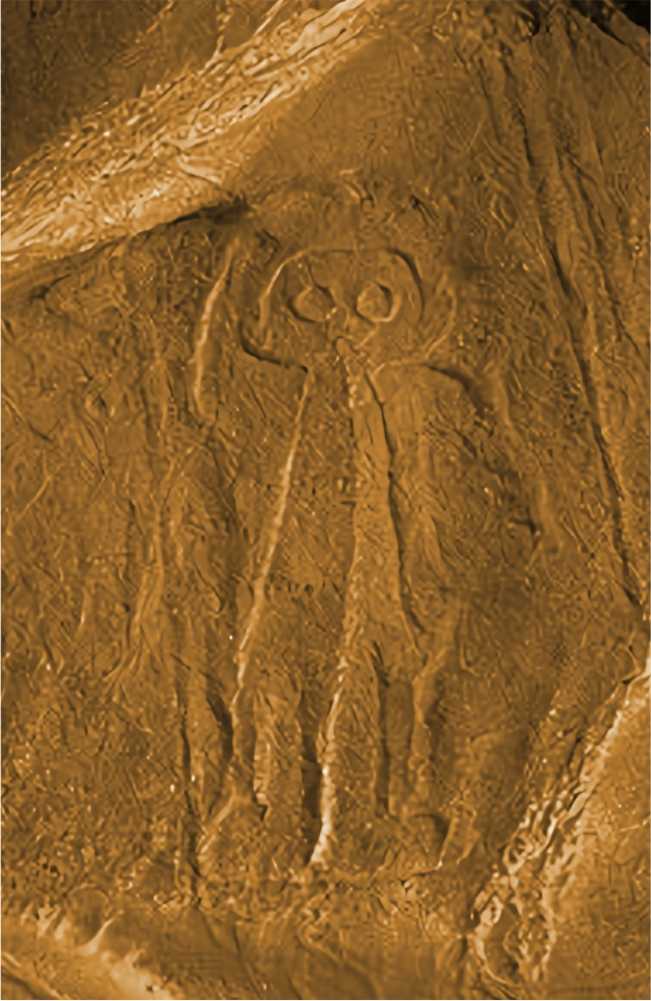 lineas de nazca