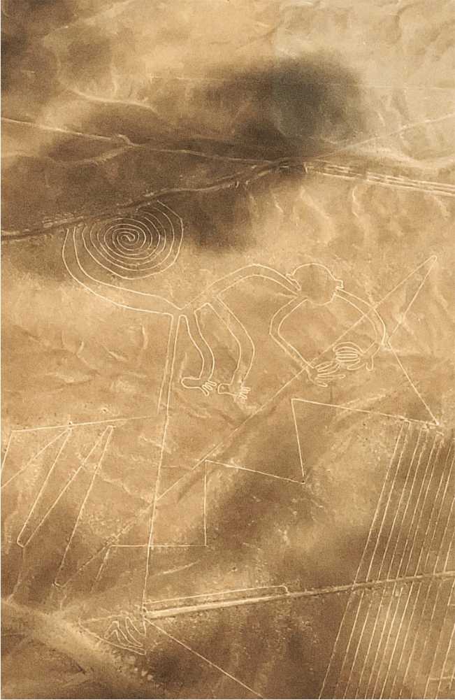 lineas de nazca