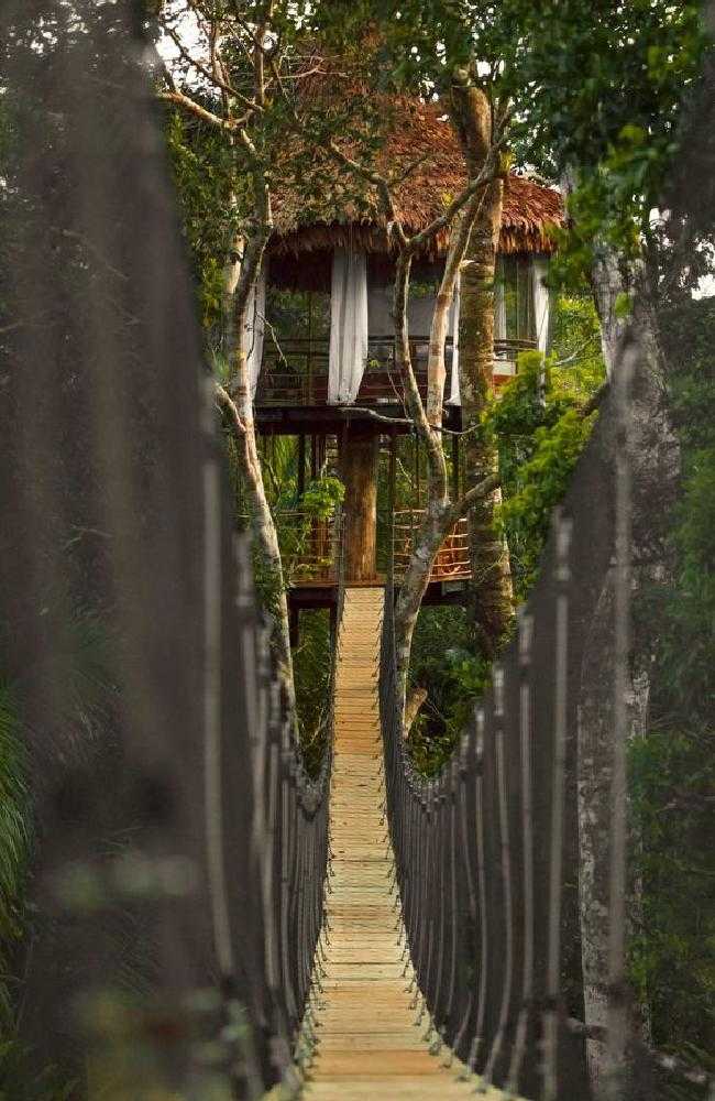 hotel colgante en la selva peruana
