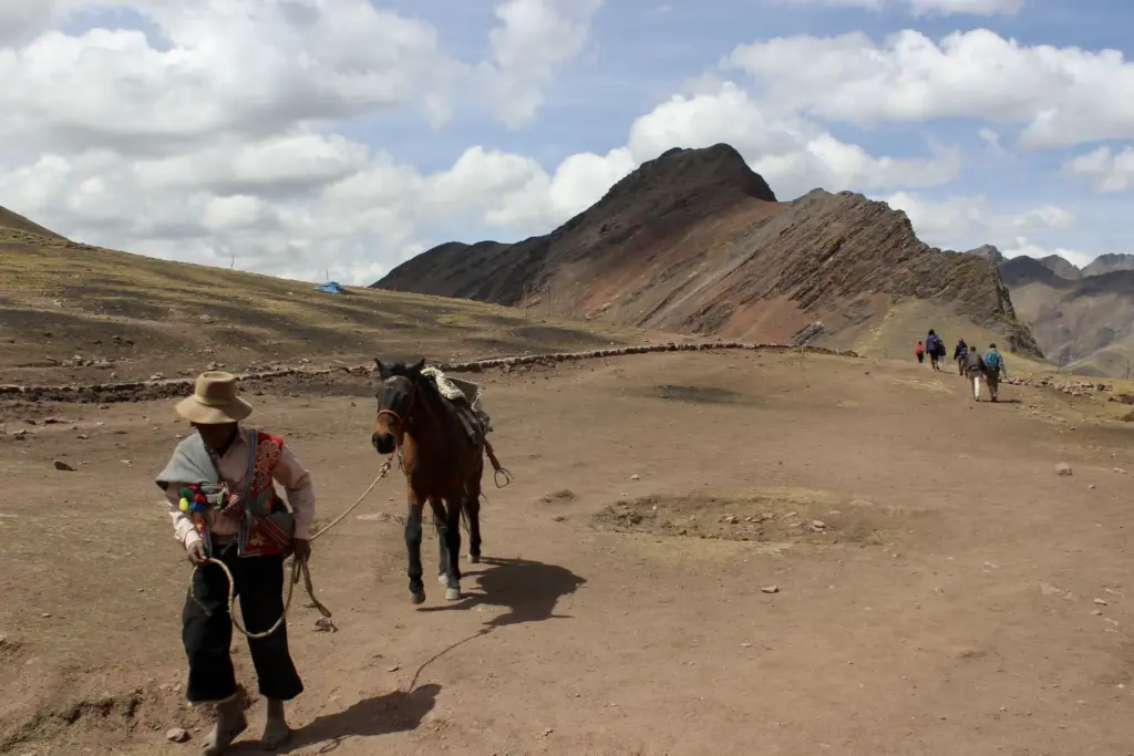 caballo en la montaña de colores