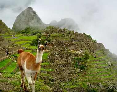 tickets a machu picchu