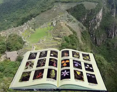 top 10 libros sobre machu picchu